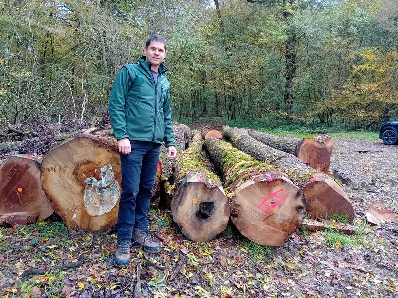 Forêt ONF approvisionnant l'usine de cercueils OGF